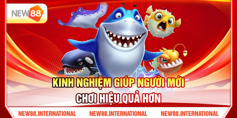 Kinh Nghiệm Giúp Người Mới Chơi Hiệu Quả Hơn